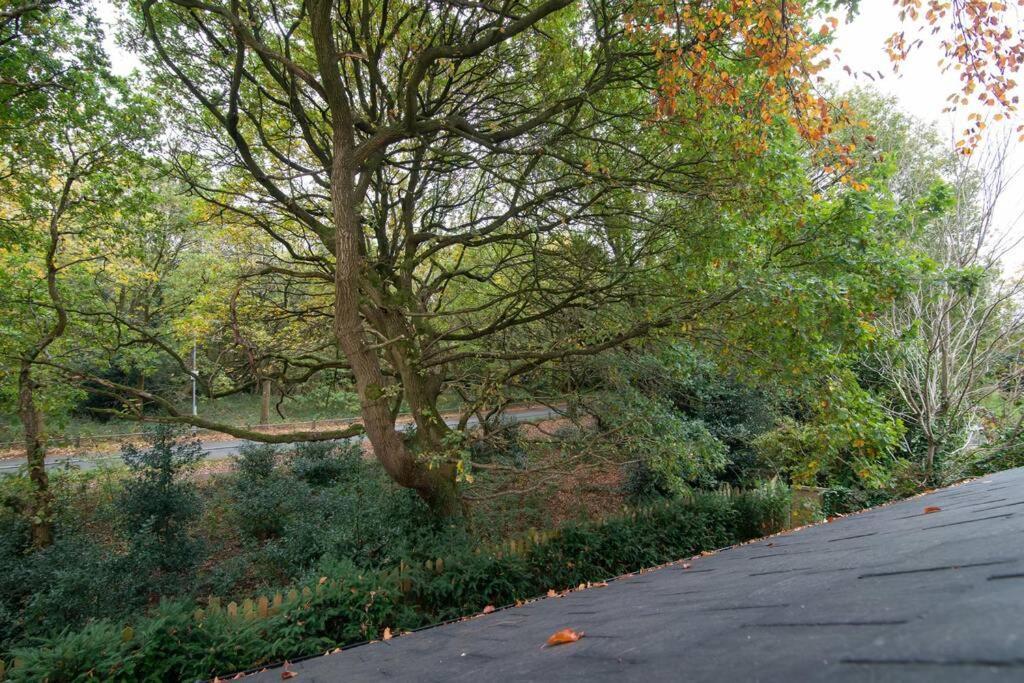 Luxury Coach House Next To Woodland In Knutsford Villa Luaran gambar